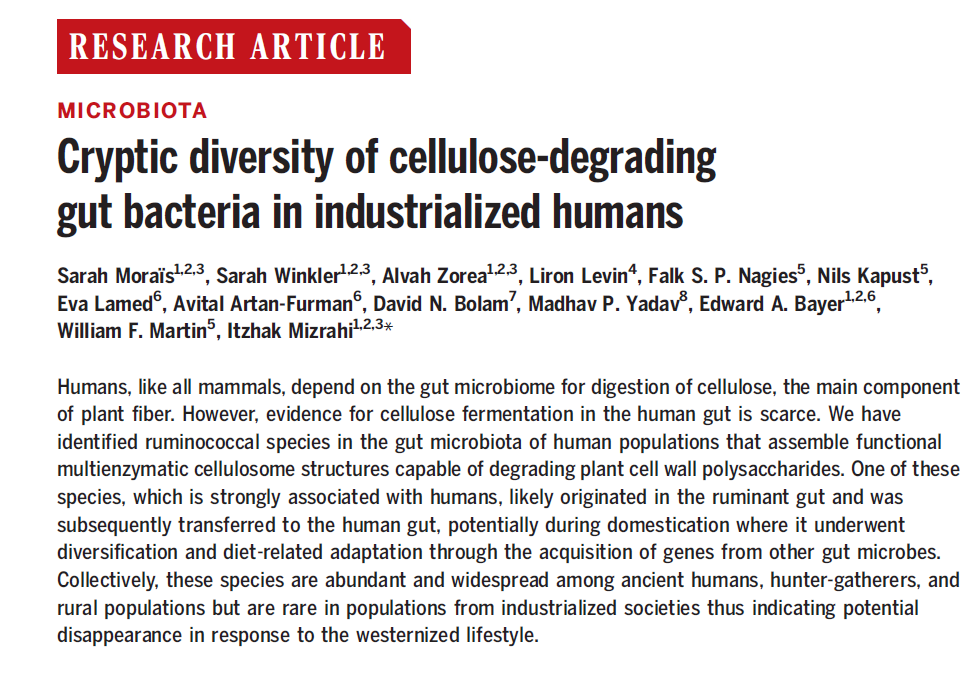 🚀Delighted to announce our recent publication in @ScienceMagazine! We've unveiled novel Ruminococcal species🦠in the human gut, proficient in cellulose degradation🌾and finely tuned to our evolutionary journey.🔬Dive into the key findings with us. (1/9) bit.ly/3wUX80G
