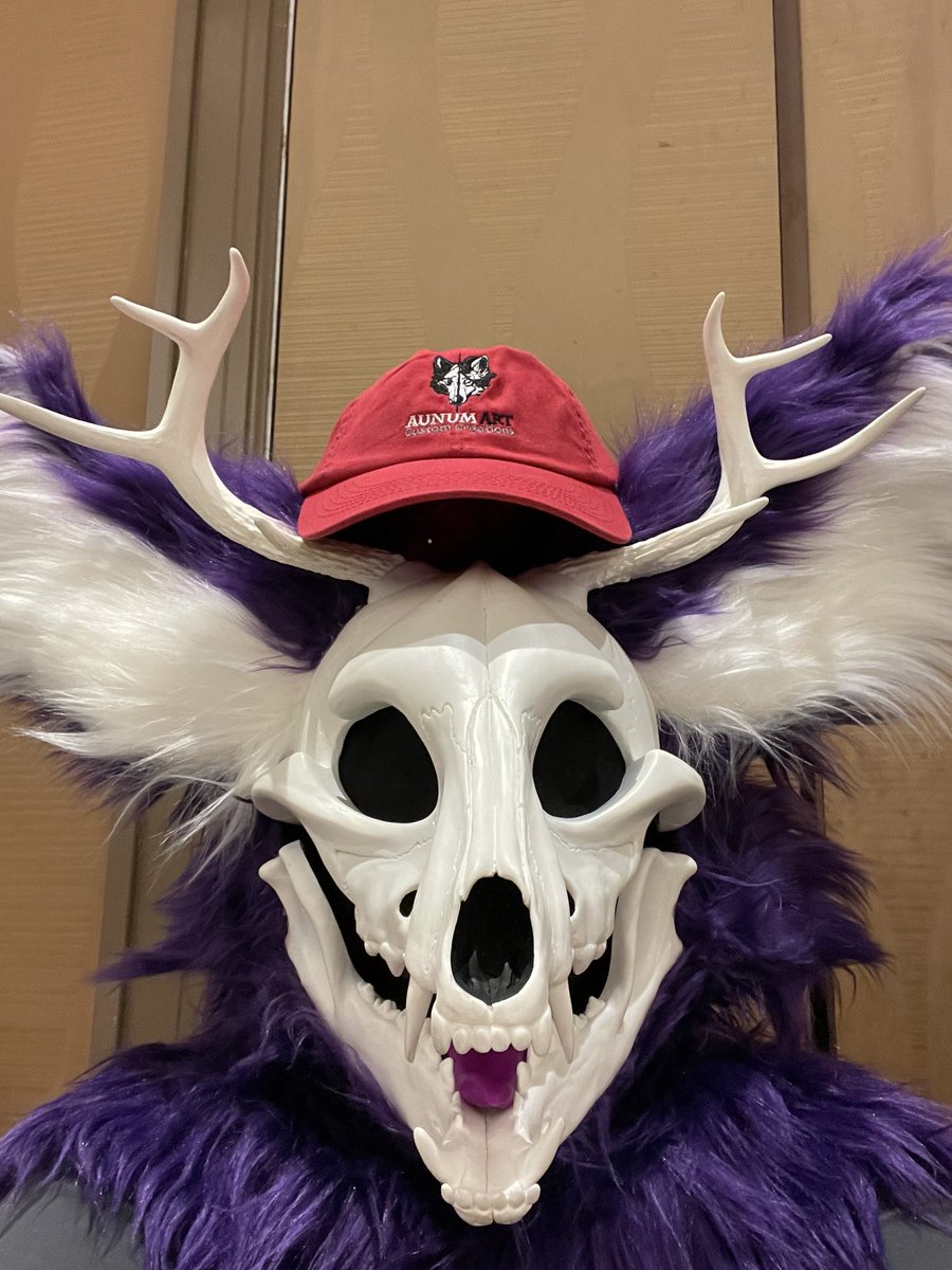 FMCadaver's tweet photo. YOU ALL MUST LOOK AT MY NEW HAT MADE BY THE AMAZING @aunumwolf42 #TFF #TFF24 #skulldog https://t.co/jqMbvLYiTo