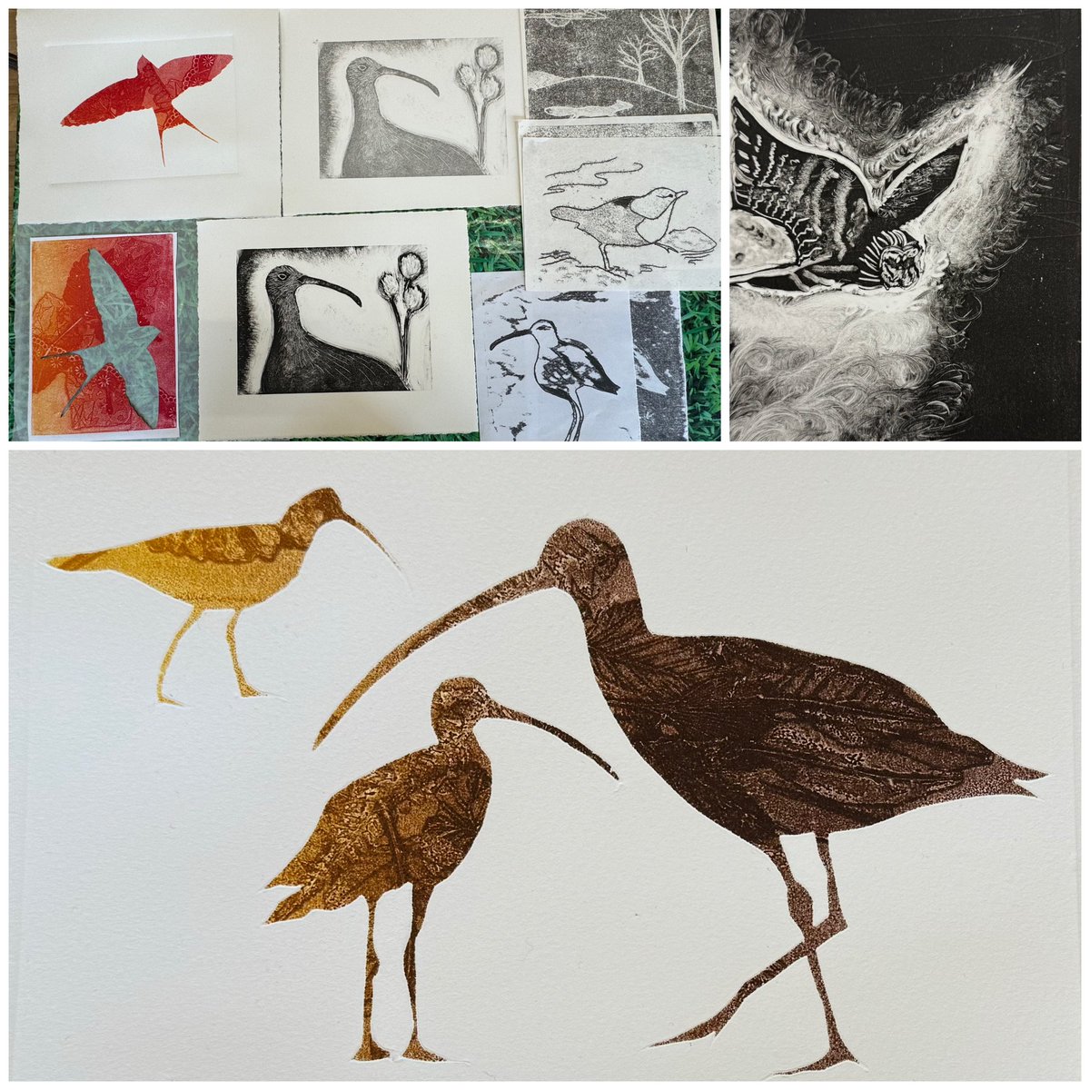 HesterCoxPrint's tweet image. Just a few of the amazing prints made by my ten students at @DalesMuseum monotype workshop yesterday. We took the Cry of the Curlew exhibition &amp;amp; the dales landscape as our inspiration. I’m so pleased &amp;amp; proud of them all! #curlew #cryofthecurlew #printmaking @CurlewAction