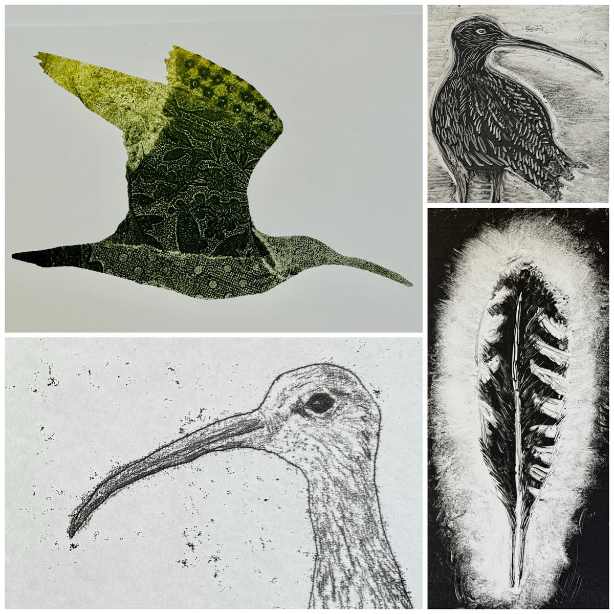 HesterCoxPrint's tweet image. Just a few of the amazing prints made by my ten students at @DalesMuseum monotype workshop yesterday. We took the Cry of the Curlew exhibition &amp;amp; the dales landscape as our inspiration. I’m so pleased &amp;amp; proud of them all! #curlew #cryofthecurlew #printmaking @CurlewAction