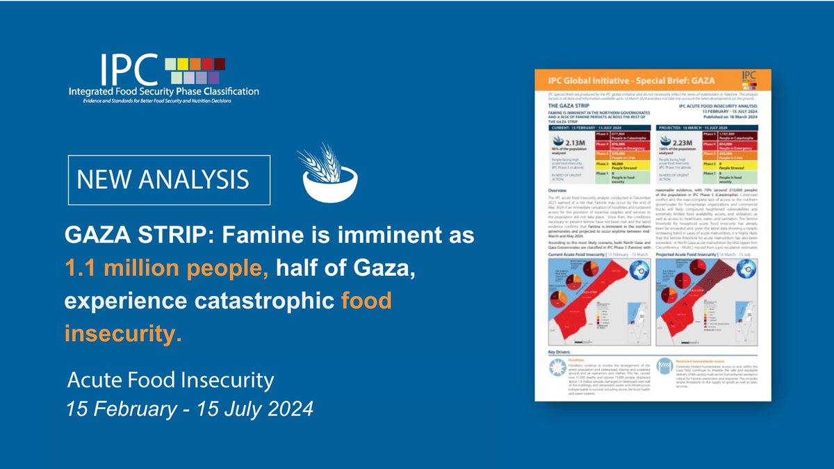 theIPCinfo's tweet image. Relentless hostilities and severely restricted humanitarian access have inflicted catastrophic levels of acute food insecurity on the population of the #GazaStrip.

Full analysis➡️ipcinfo.org/ipcinfo-websit…