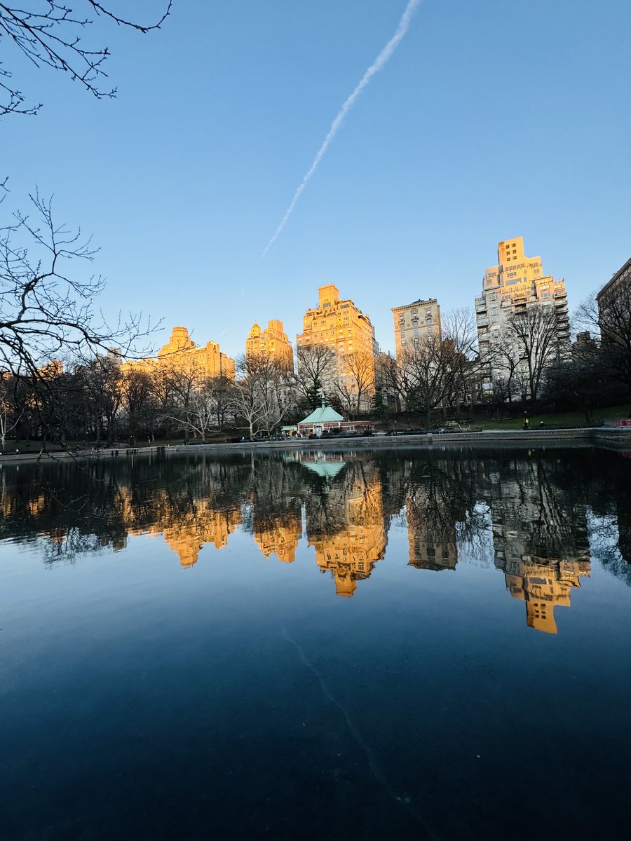 finnhug's tweet photo. Patrick’s Day sunset at Central Park New York ☘️🧡☘️ #notcork #newyork @ThePhotoHour @pure_cork @corkbeo https://t.co/fxVnG5NmKQ