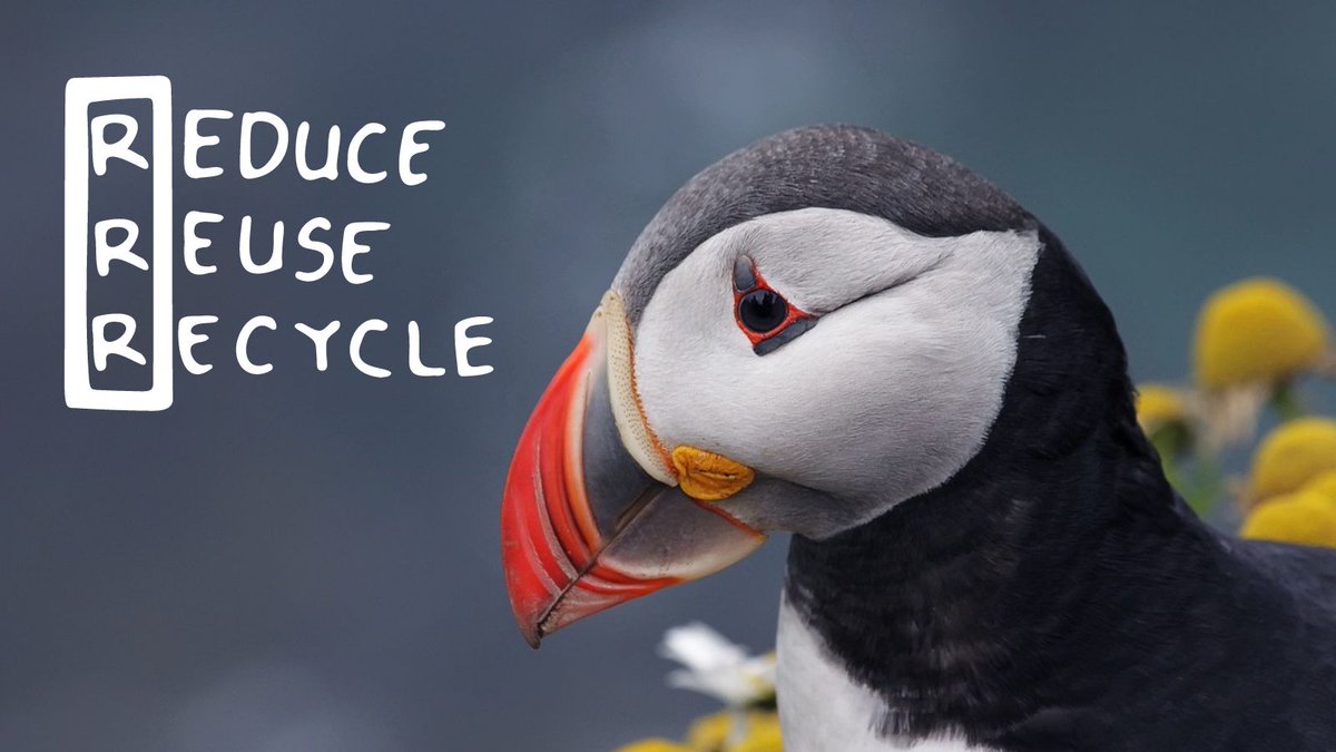 It's #GlobalRecyclingDay! 🌍 Pollution is one of the main drivers of global biodiversity loss. To help protect our much loved wildlife, we can each do our bit and #Reduce, #Reuse and last of all, #Recycle!