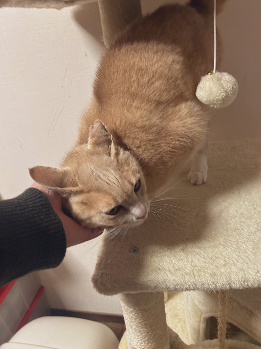 1年ぶり…