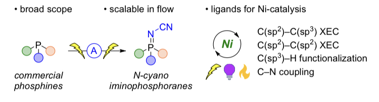 Want to learn how electrochemistry can enable access to new ligands for nickel catalysis? Your can read all about it here in @ChemicalScience. 
Electrosynthesis of Iminophosphoranes and Applications in Nickel Catalysis. doi.org/10.1039/D3SC05…