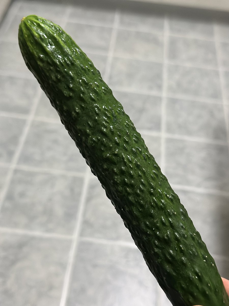 给老婆准备的黄瓜。今晚她要让这家伙和我一起干她。
本来前几天我提出来给她用黄瓜插她，她第二天白天她想像着用这个，下面一紧一紧的都湿了。结果下午来大姨妈了。