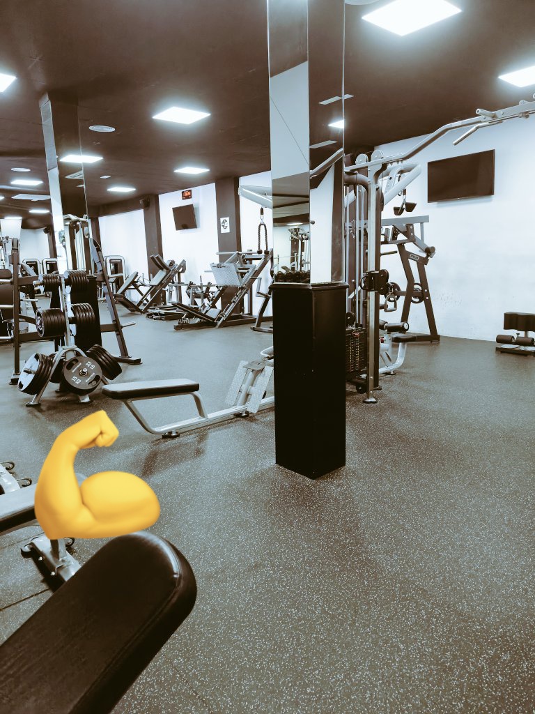 Halley_Beauty's tweet photo. Cuando llegas al gym y es todo para ti 💜
#gymgirl #gymmotivation #Gymbro https://t.co/GG3Q8eTf7b