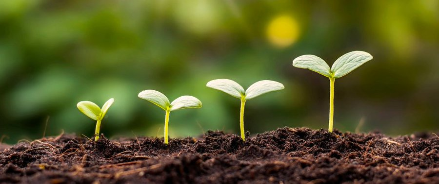 Stratford Town Trust tweet media