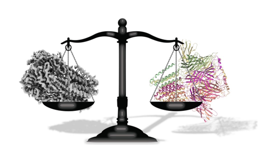 Community white paper with recommendations on archiving and validating #cryoEM structures, published Open Access in @IUCrJ - doi.org/10.1107/S20522…. wwPDB news: wwpdb.org/news/news?year…. Please read, share and discuss! (Image: @IrinaBezsonova )