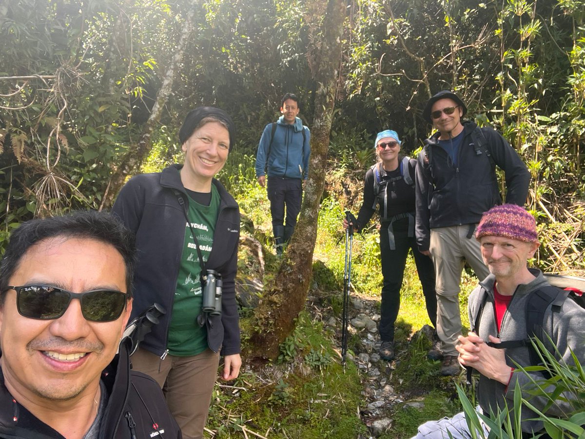 Nina Farwig (@ninafarwig) on Twitter photo First successful field day in #Podocarpus National Park within <a href="/TMF_Ecuador/">TMFRespect (FOR2730)</a>. <a href="/LCRS_UniMR/">LCRS</a> <a href="/ConsEcol/">ConsEcol</a> <a href="/NaturCulturIntl/">Nature and Culture International</a> <a href="/utpl/">🎓 UTPL</a> First successful field day in #Podocarpus National Park within <a href="/TMF_Ecuador/">TMFRespect (FOR2730)</a>. <a href="/LCRS_UniMR/">LCRS</a> <a href="/ConsEcol/">ConsEcol</a> <a href="/NaturCulturIntl/">Nature and Culture International</a> <a href="/utpl/">🎓 UTPL</a>