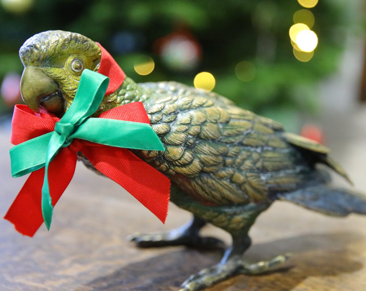JuniorKingsSch's tweet photo. The last week of the Lent Term is packed with exciting events, kicking off with the Swimming Galas, followed by the Inter-House Maths Challenge and lots of Easter fun!
Who will be the winning house of the Parrot this term; Kakas, Cockas, Keas, or Macaws?
#teamwork #houseevents https://t.co/qElLEvXRb7