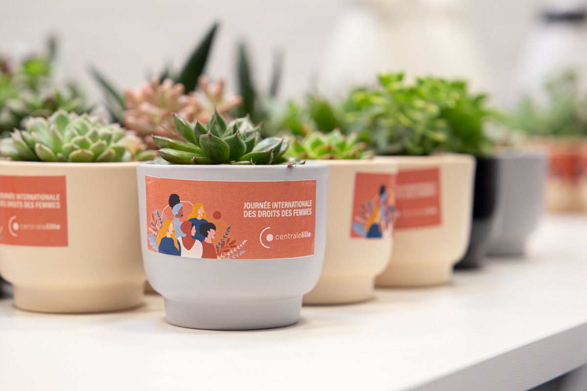 CentraleLille's tweet image. [#ACTUS] ✨ À l’occasion de la Journée Internationale des Droits des Femmes, un café 100% féminin a été organisé par le pôle #QVCT. ✅ Cet événement reflète l’engagement de @CentraleLille envers une politique pour le respect des droits des femmes et la promotion de l’égalité pro.