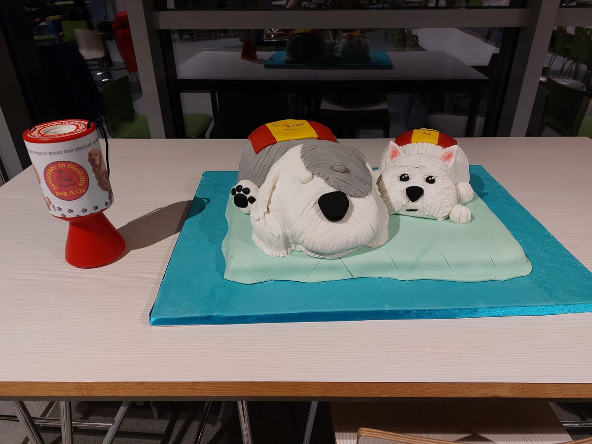 We're so grateful to Hazel Shields and supporters in Northern Ireland who arranged an amazing concert to raise funds for Dog A.I.D. We love the wonderful Dog A.I.D. themed cake baked for event! Thank you to Hazel and the talented performers who gave their time and skills