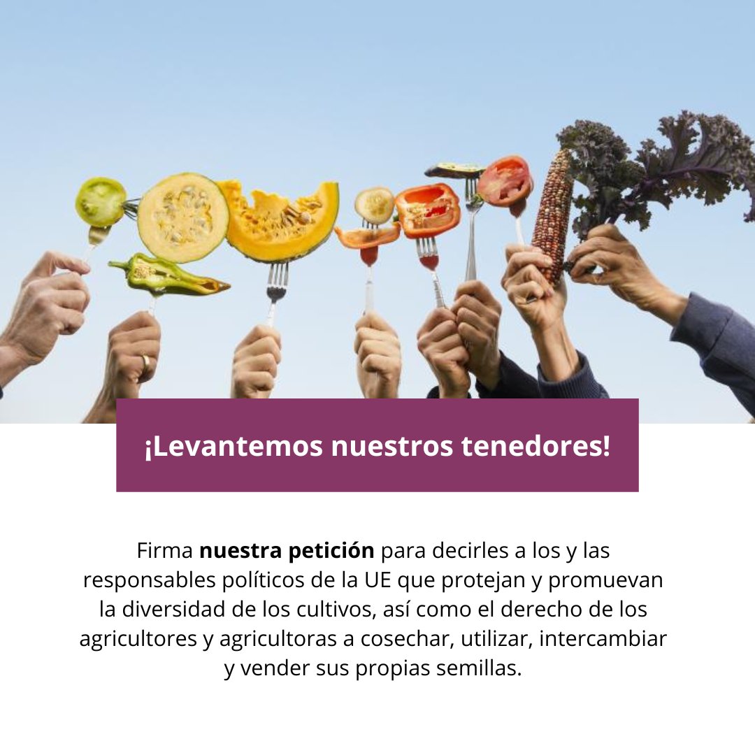 #Importante 🌾🌾 Mañana 19 de marzo se vota la propuesta de reglamento, no te olvides de firmar la campaña para mostrar tu apoyo a los sistemas alimentarios con biodiversidad cultivada. mitmachen.arche-noah.at/es/levantemos-… #biodiversidad #agroecología #agricultura