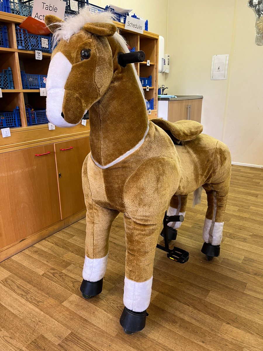 A massive thank you to the mum of young person Frankie who has donated this brilliant 'rocking/ motion horse'. This horse will be great for young people to use before they embark on riding at RDA sessions, allowing practice on-site to get the feel and motion of riding a horse.