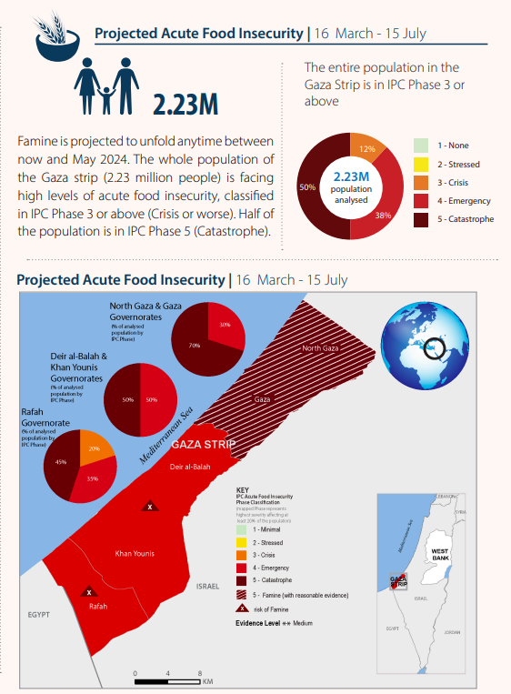 Report released today shows famine expected between now & May in northern Gaza. @WFP doing all we can to avert. 18 truck convoy reached the north today. Shows it can be done. Sustained road access into & within Gaza critical to deliver the volumes needed. wfp.org/news/famine-im…