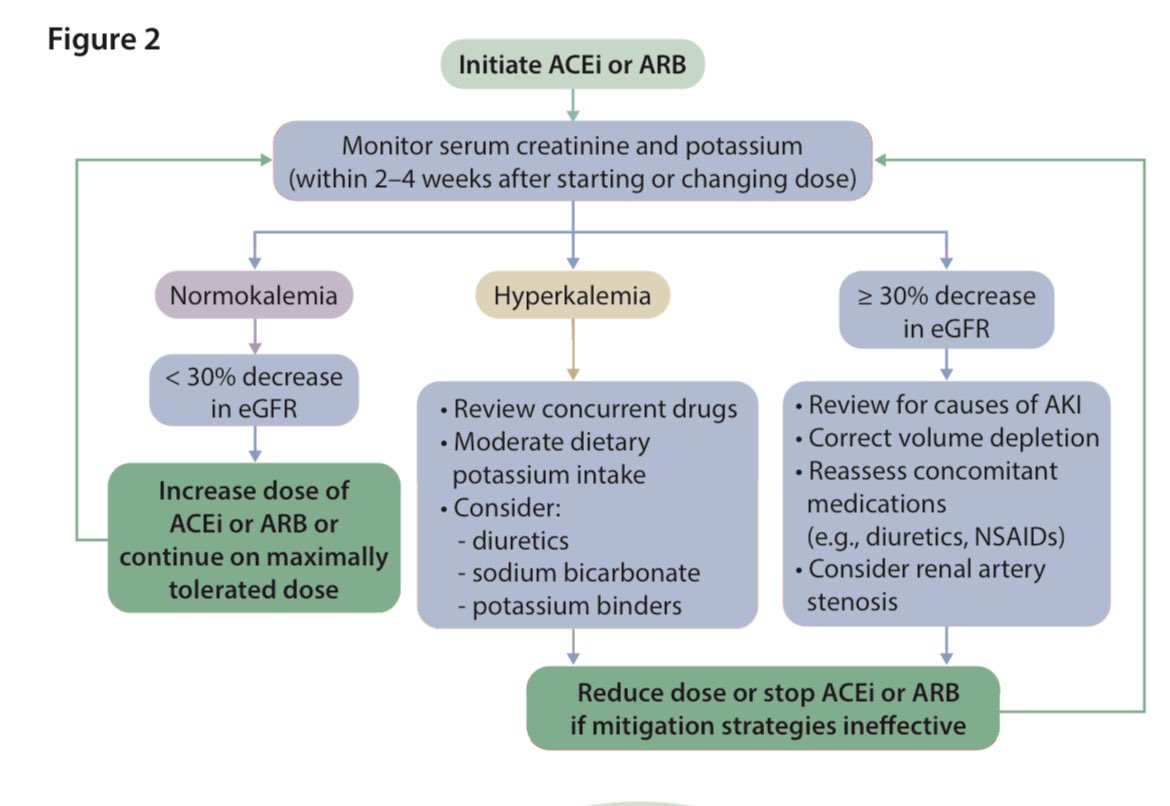JasmineNephro's tweet photo. 🫘🤩CKD management 

🙏Don’t stop 🛑 ACEi/ARB if GFR decline is less than 30% after starting 💊

First line in CKD

✅SGLT2i

✅ACEi/ARB

@goKDIGO 

https://t.co/8ytVnxupAg https://t.co/8hU6GAtB1x