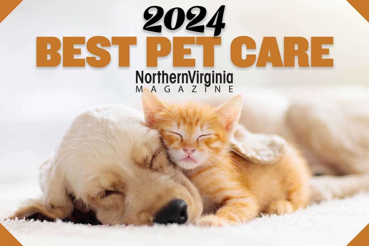 leadwithfundogs's tweet image. Help us win again this year. novamag.emlnk1.com/lt.php?s=a39ba… vote.