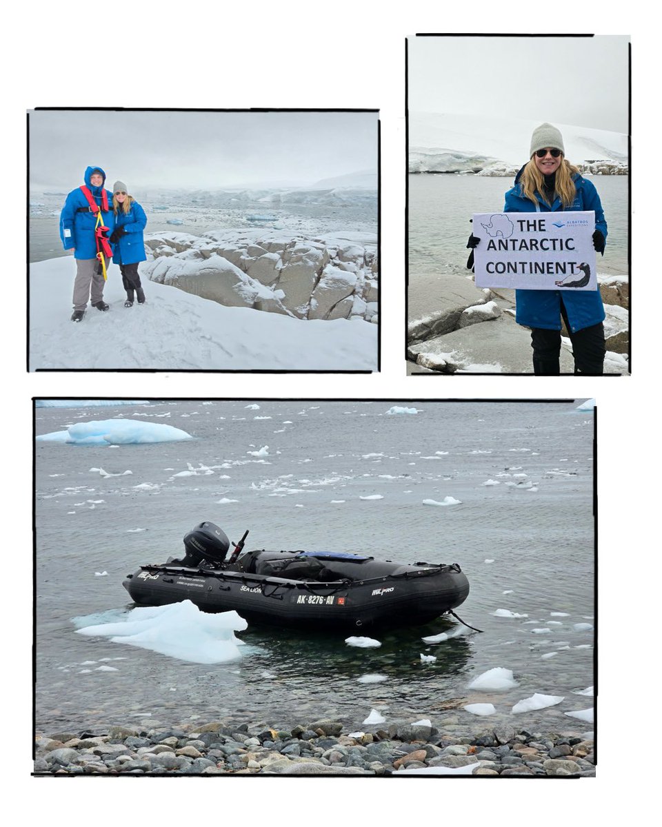 #Antarctica ❄️🦭🐋🐧