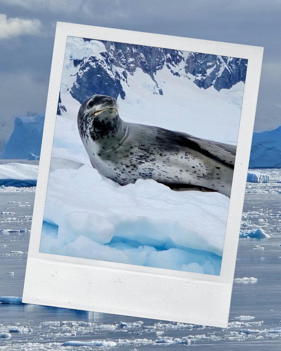 Robin K. Triplett tweet media