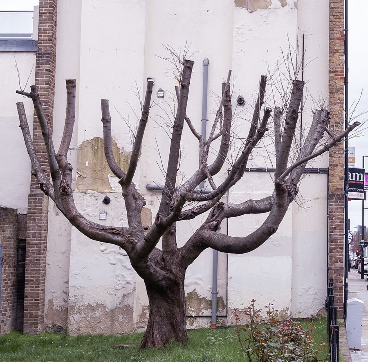 CaminoTV's tweet image. Nouvelle oeuvre de Banksy ! Son art est trop parlant.  T'es obligé de ressentir un truc même si l'exécution peut paraitre simple à chaque fois la morale est toujours forte