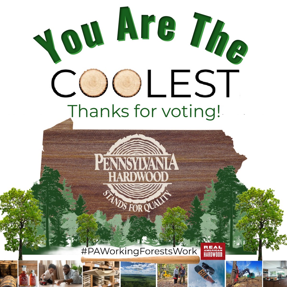 PAAgriculture's tweet photo. It's Official: PA Hardwood Products has officially made it to the Round of 64. Thank you to all who voted and stay-tuned for the full bracket reveal later today!
#CoolestThingPA #PAWorkingForestsWork https://t.co/tmh1KT8mBO