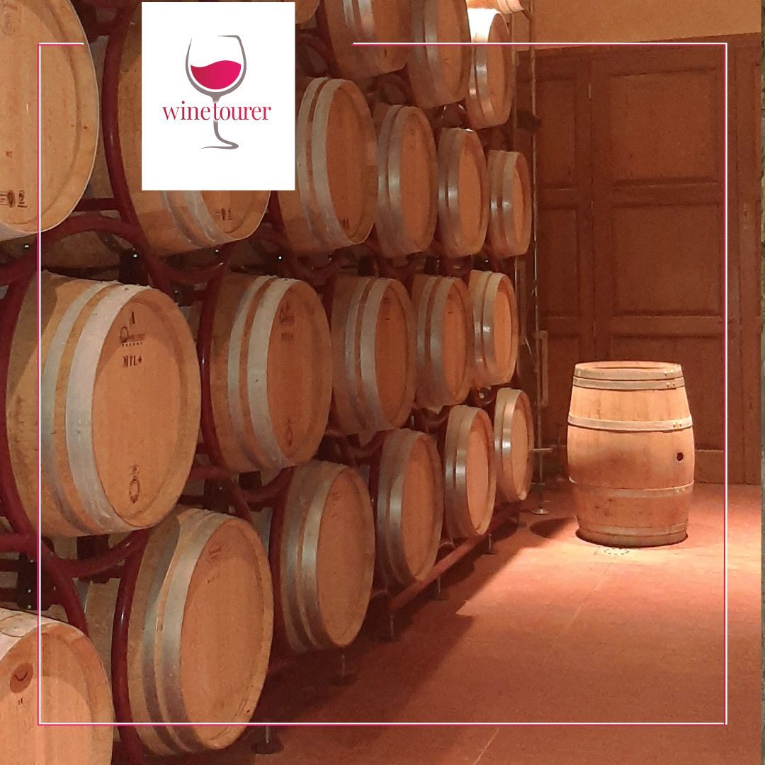 winetourer's tweet photo. Visit to the cellar during one of our tours 

Find your next events on our website https://t.co/5pFf3wOs34