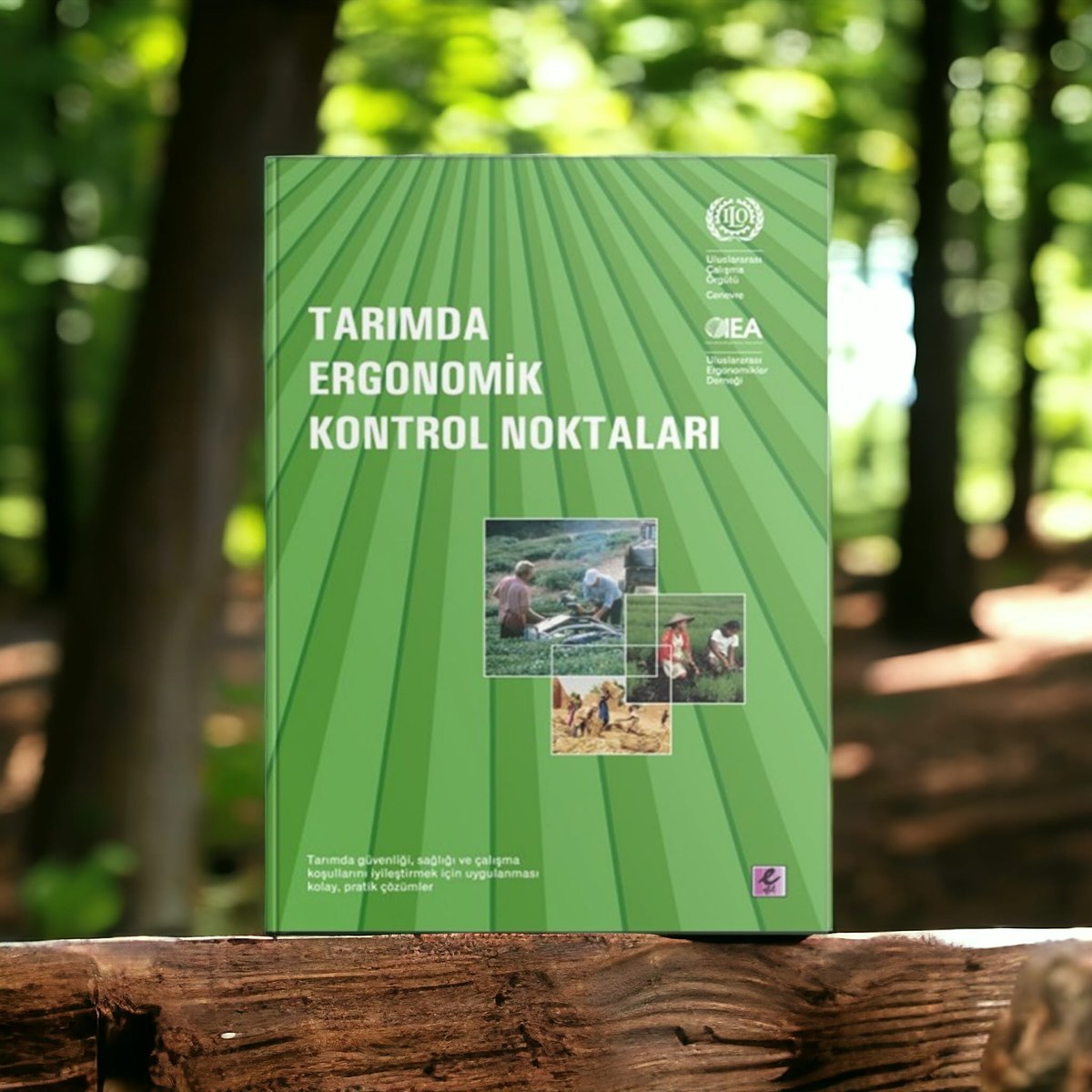 Efilyayinevi's tweet photo. Bu kitap, özellikle gelişmekte olan ülkelerde kolay uygulanabilir ergonomik iyileştirmeler için pratik ve somut rehberlik sunmaktadır.

👇
https://t.co/tsp90d50n3 https://t.co/s0Eqwg1plC