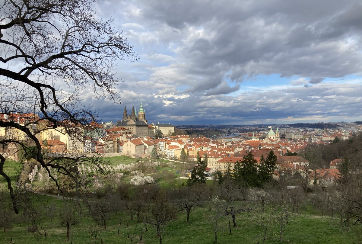 Anna Kubišta tweet media