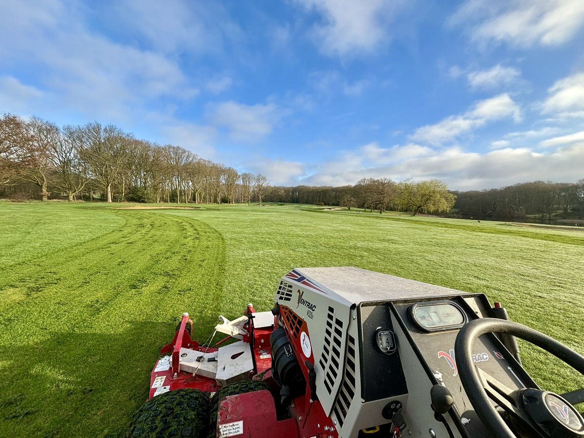 Tony Dineen tweet media