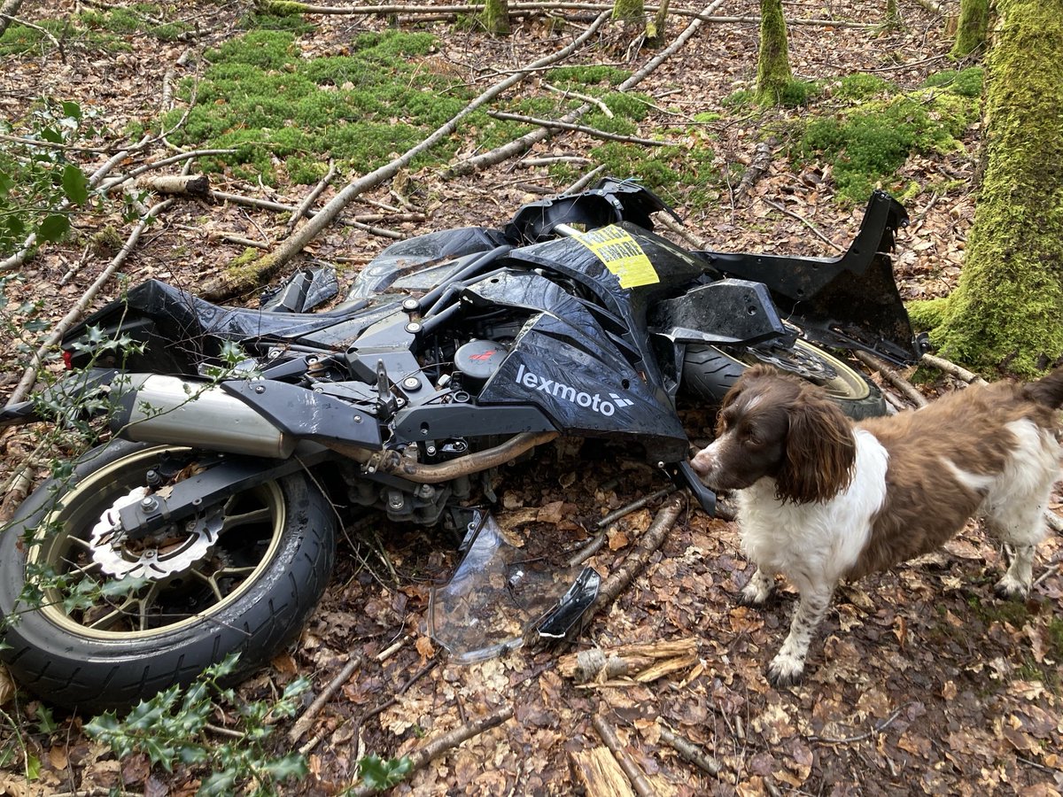 jenny seagrove 🍃💚🍃 tweet media