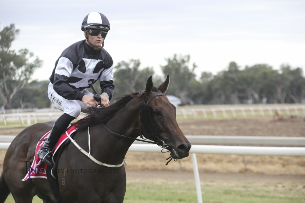 “I just can’t explain how good it felt to walk out of the jockey’s room; I sat down next to my car for a bit and rung Dad.' Talented Wyong-based jockey Patrick Scorse put a nine-month suspension behind him at Gunnedah on Saturday when booting home a winning double. The