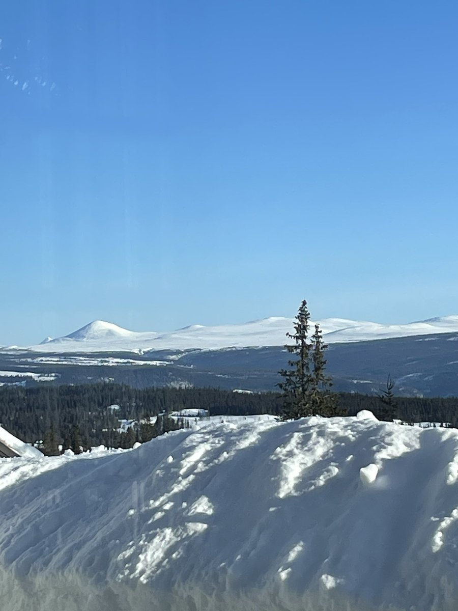 SellaHansen's tweet photo. @Anes101441292 ….good morning  ☃️ https://t.co/sBOpDppLvl