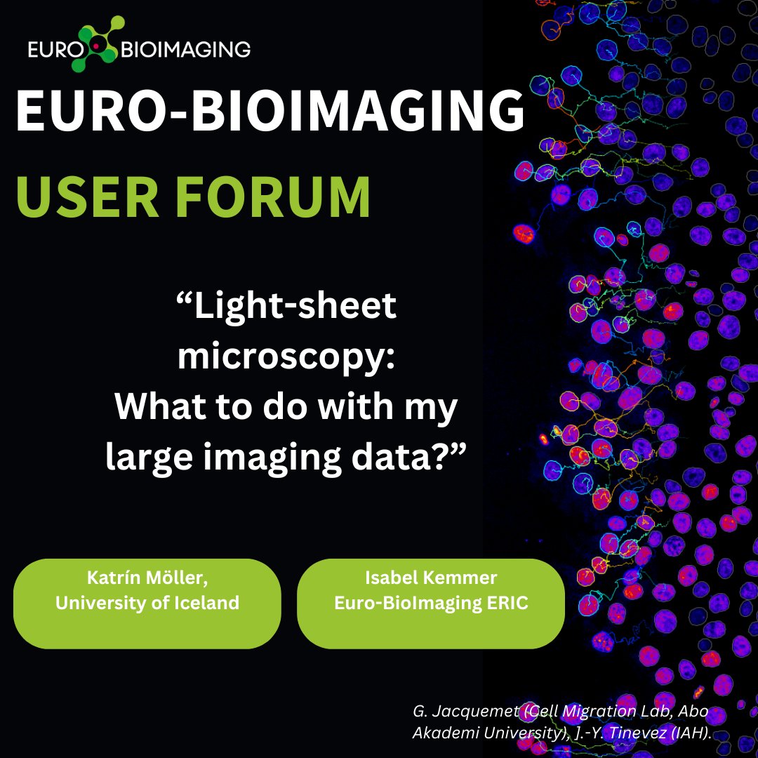 At the #EuroBioImaging User Forum, Katrín Möller @katrinmoller1 &amp; Isabel Kemmer, Euro-BioImaging’s Image Data Steward, share their experience submitting large light-sheet microscopy datasets to @BioImageA.
Join to hear this talk &amp; others like it! 
More⤵️
eurobioimaging.eu/news/light-she…