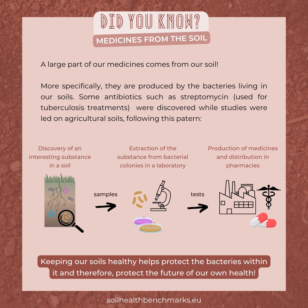 Did you know that most of our medicines 💊 come from our soil🌿?
Learn how we produce some types of antibiotics, first found in the soil in the post below!

#BENCHMARKS #SoilHealthBENCHMARKS #SoilHealth #soilfertility #planet #protect #humanhealth #onehealth #health