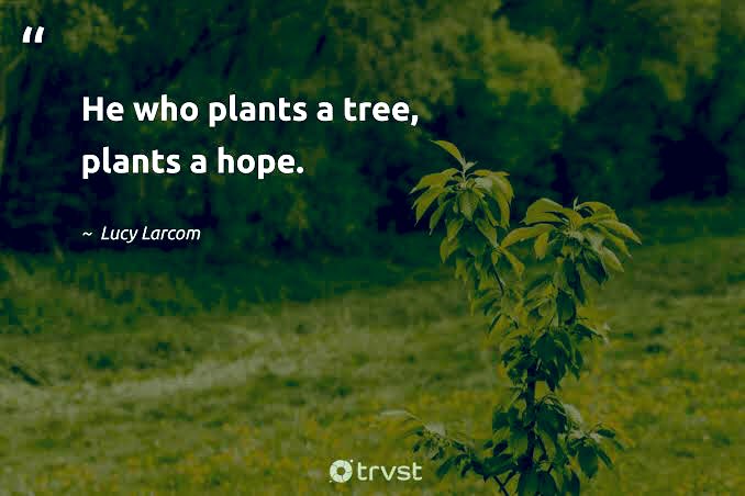 TheAnchors1's tweet image. Creating Hope through planting trees!🌳✨

Together let’s save Mother Nature by planting trees and ensuring sustainability and restoration of the environment. 

#GreeningNamungo🌳
#CreateHope
#WorldRotaractWeek