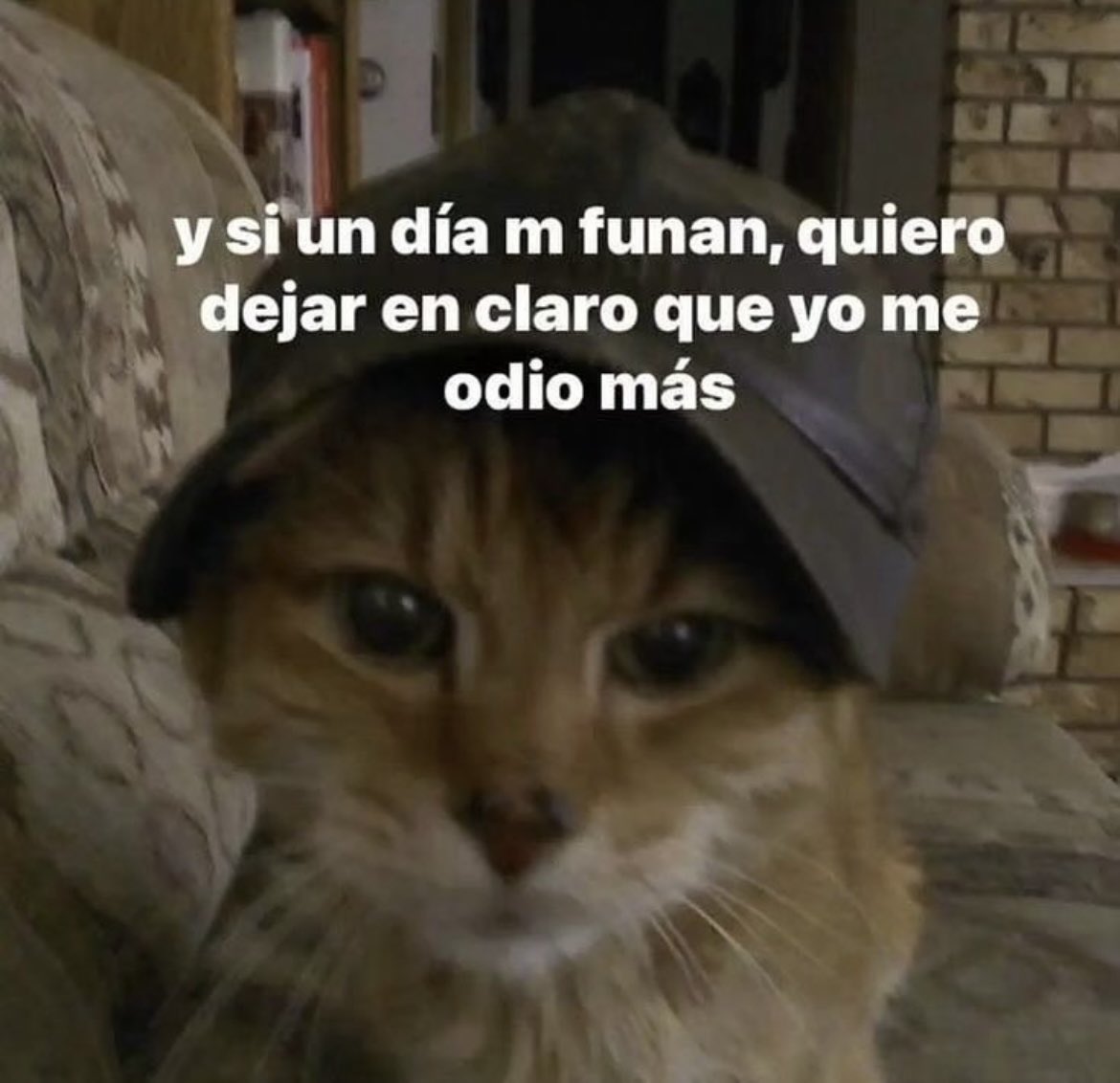 alesitoz3's tweet photo. @miniemat_minie @ClickSenseRP Fui yo, lo conversé con elmarianorajoy y llegamos a la conclusión de que es nuestra multi

PD: Winters te extraña :( https://t.co/PPuRRercEZ