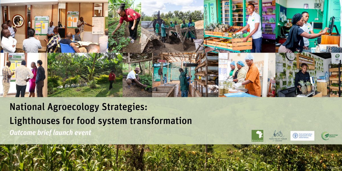 🗓️ Don't forget to join us on 19 March, from 12:00-13:30 CET, for 'National Agroecology Strategies: Lighthouses for food system transformation.' Our World Board member, Paul Holmbeck, will be among the speakers at this webinar. @FAO Register here: fao.zoom.us/webinar/regist…