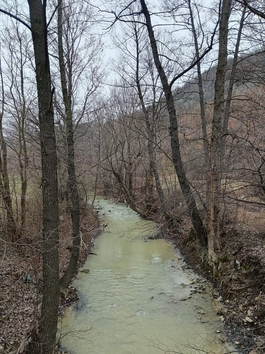 O_R_S_P's tweet photo. Zeleno rudarenje, Kriveljska reka.
I sve ovo zavrsava u Timoku, pa u Dunavu.
Slika preuzeta iz grupe Odbranimo reku Timok 📸 Wild East Serbia
#timok #dunav #danuberiver #bor #istočnasrbija #ekoistok #zaječar #zijin #river https://t.co/no7KbvL7bS
