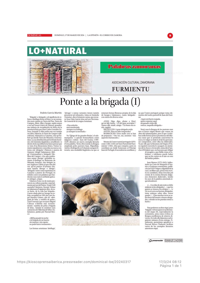 Furmientu's tweet photo. Ponte a la #brigada (I). Ayer na @opiniondezamora.
#palabraszamoranas https://t.co/3VDR5QEru9