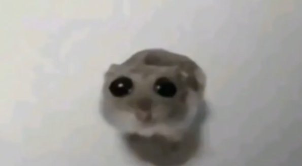 🔥ɴᴇᴋᴏᴍᴀᴛᴀ ᴜʀɪᴋᴏ🔥猫又 売子🔥ʏᴏᴋᴀɪ ᴠᴛᴜʙᴇʀ🔥PecsLover tweet media