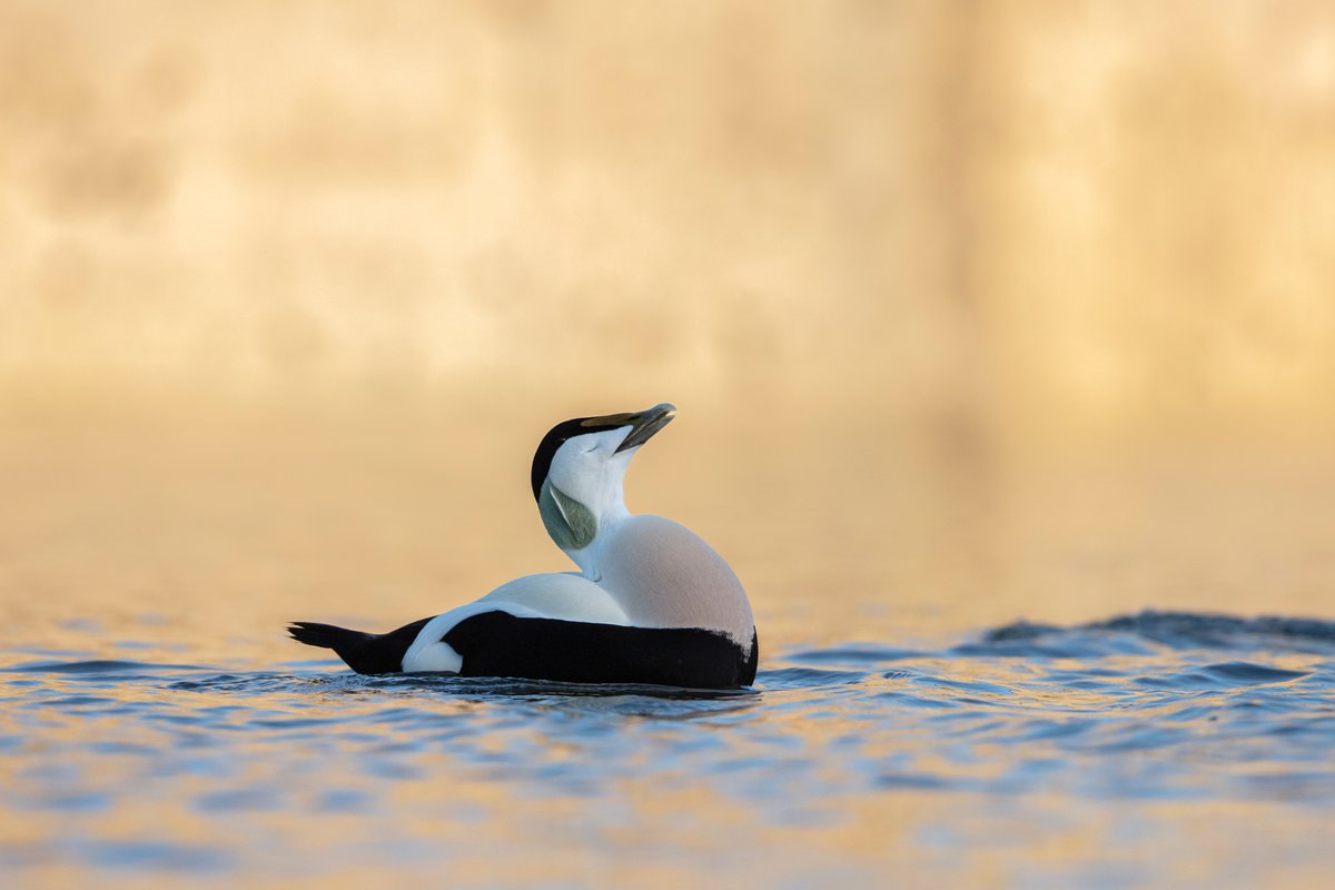 Daniel Trim tweet media