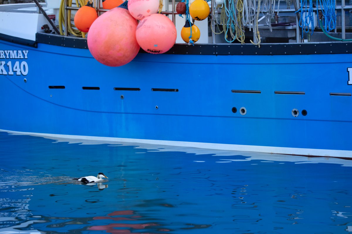 Daniel Trim tweet media