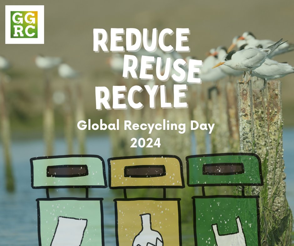 ♻️ Happy Global Recycling Day! Let's unite in our commitment to protecting our planet by reducing waste &amp; recycling responsibly. Together, we can make a world of difference for generations to come.
#GlobalRecyclingDay #reducereuserecycle #sustainable #sustainablefuture #GoGreen