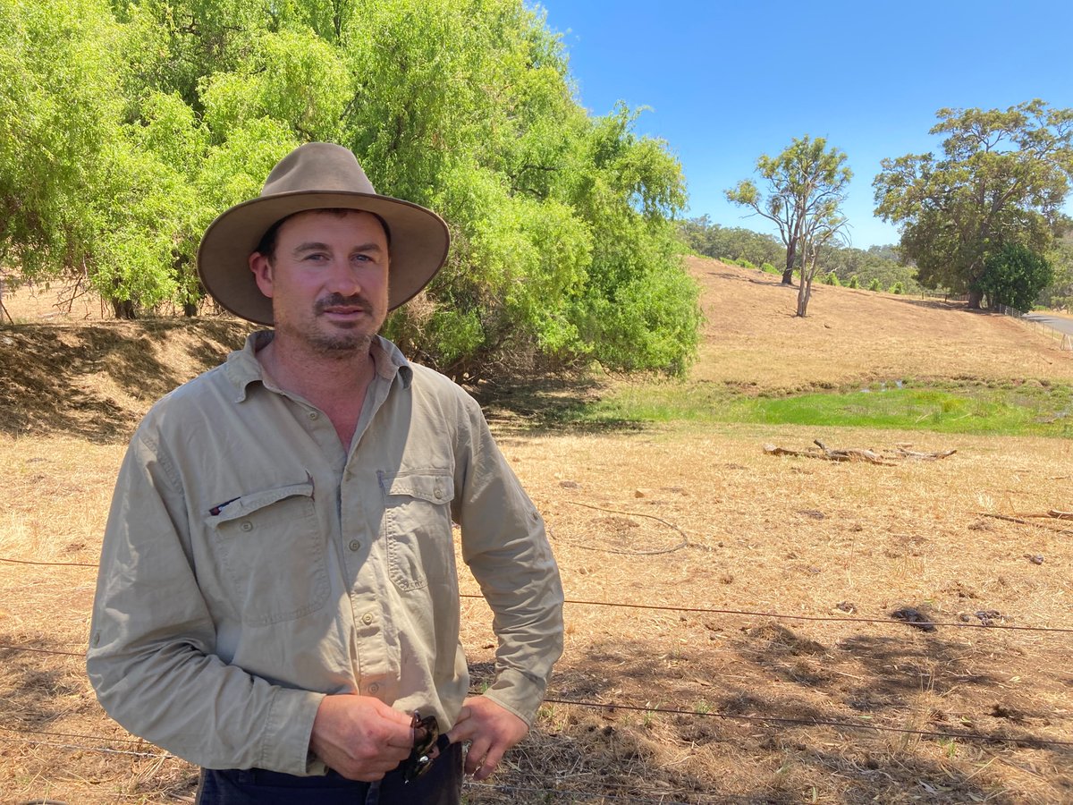 ag_southwestnrm's tweet photo. "It’s been an absolute shocker." Beef and grape producer Ryan Gibbs from Ferguson Valley about being prepared for dry seasons. https://t.co/5EWkTZsIw7 #SWWADroughtHub @GGA_WA https://t.co/IsutRUctLs