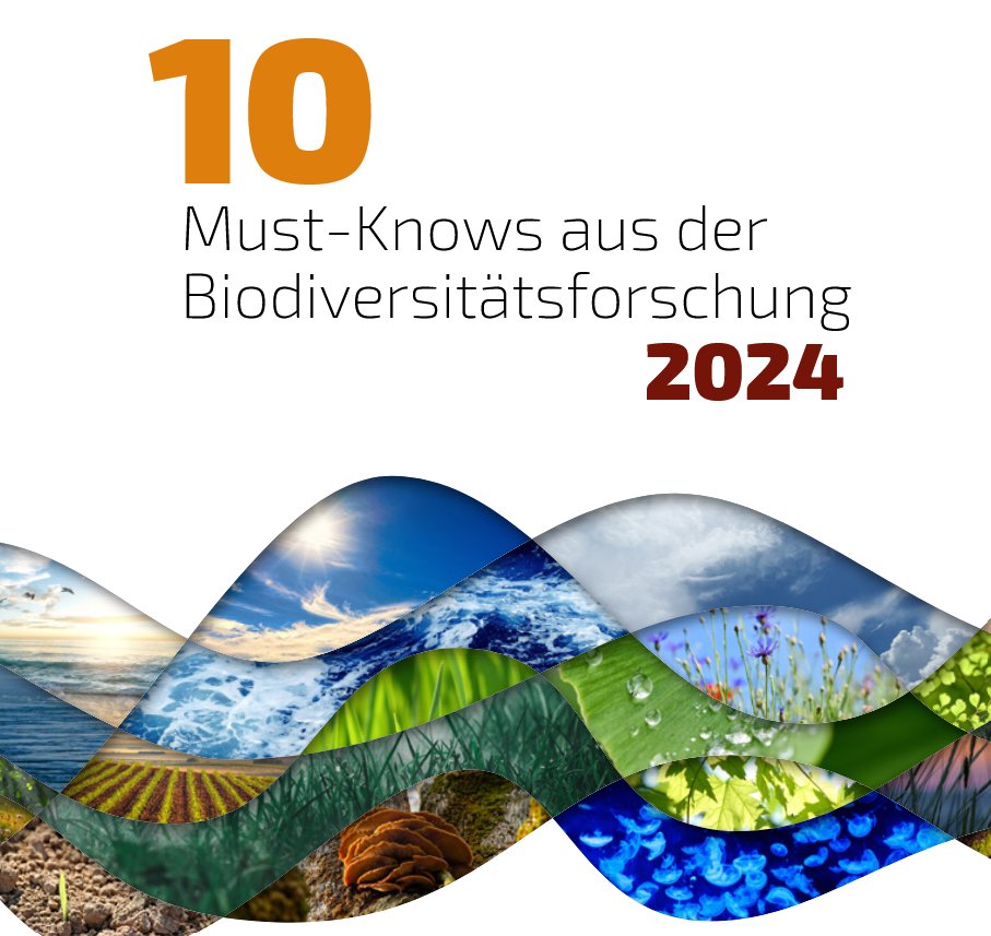 Worauf es jetzt ankommt, um die #Biodiversität wirksam zu schützen - dazu haben 64 Forschende ihre Empfehlungen in „10 Must-Knows“ gebündelt. Der neue Bericht des @LeibnizBiodiv zeigt, wie biologische Vielfalt erhalten & das Klima geschützt werden kann: pik-potsdam.de/de/aktuelles/n…