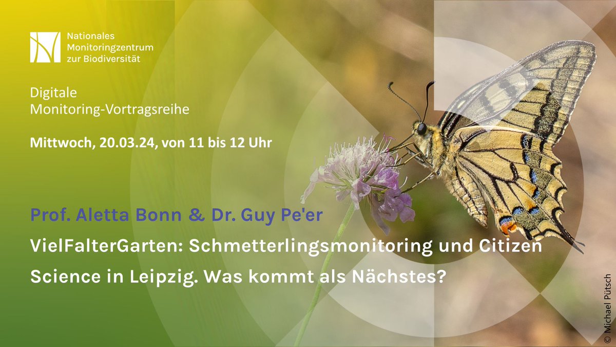 „VielFalterGarten: Schmetterlingsmonitoring und Citizen Science in Leipzig. Was kommt als Nächstes?“ Darum geht es im nächsten kostenlosen Vortrag am Mittwoch, 20.03.24 um 11 Uhr. #biodiversität #vierfaltergarten #citizenscience #monitoring Jetzt anmelden! bfn-event.webex.com/webappng/sites…