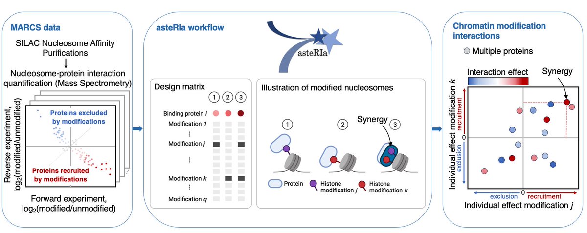 Mara Stadler (@stadlermara) on Twitter photo Excited to share our work "asteRIa enables robust interaction modeling between chromatin modifications and epigenetic readers", where we utilize the MARCS data for deeper insights into combinatorial epigenetics. Great collab between Bartke lab and <a href="/BioDataSc/">BioDataScience Lab</a> at <a href="/HelmholtzMunich/">Helmholtz Munich | @HelmholtzMunich</a> Excited to share our work "asteRIa enables robust interaction modeling between chromatin modifications and epigenetic readers", where we utilize the MARCS data for deeper insights into combinatorial epigenetics. Great collab between Bartke lab and <a href="/BioDataSc/">BioDataScience Lab</a> at <a href="/HelmholtzMunich/">Helmholtz Munich | @HelmholtzMunich</a>