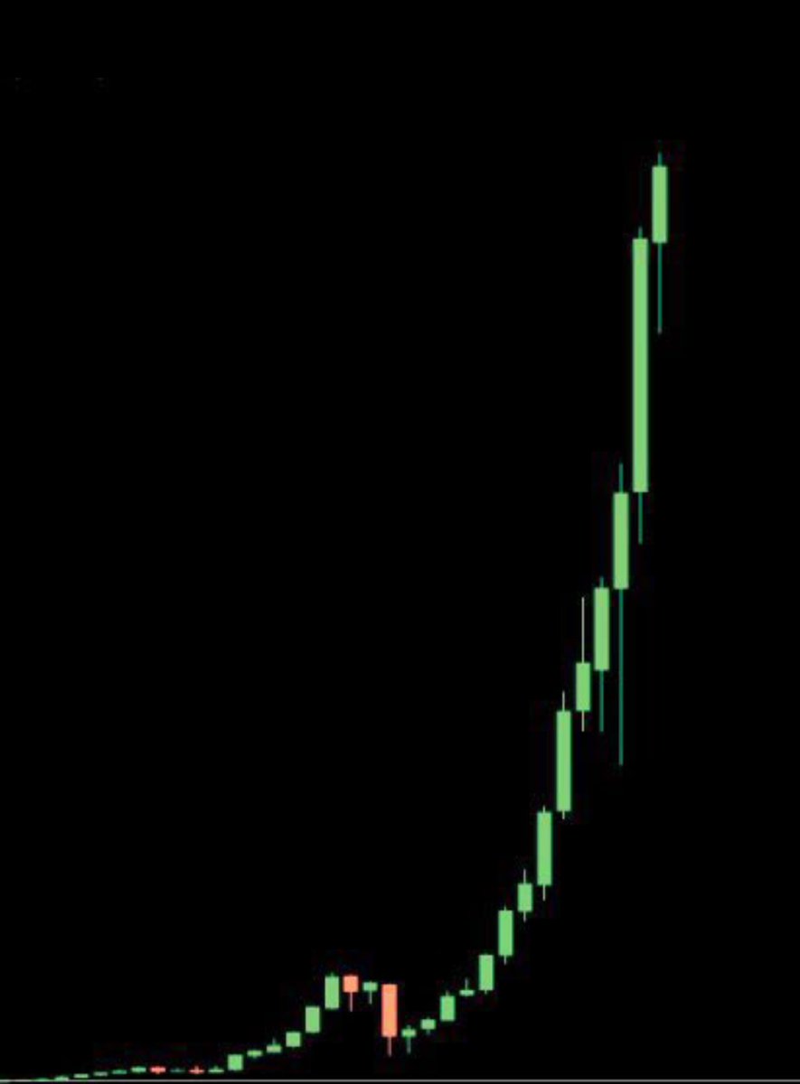 pamp112's tweet image. 