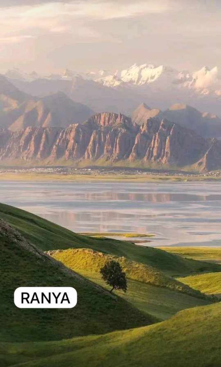 shirwan79's tweet photo. https://t.co/GMVD3BHuXc